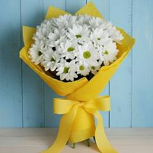 Букет цветов из:  Хризантемы в Лоухи