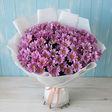 Букет цветов из:  Хризантемы в Лоухи