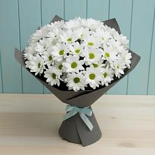 Букет цветов из:  Хризантемы в Лоухи