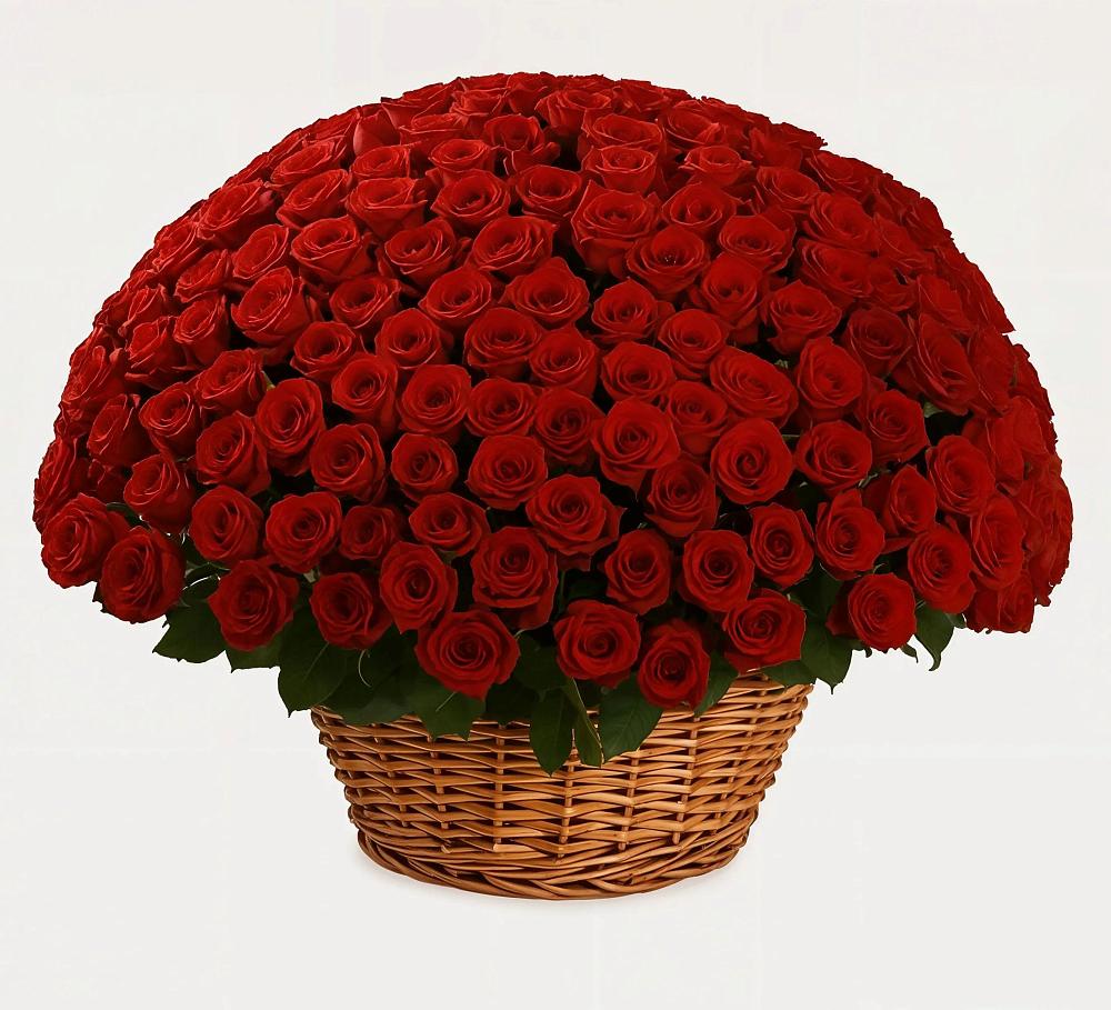 Премиум букет из: Розы в Лоухи