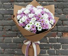 Букет цветов из:  Хризантемы в Лоухи