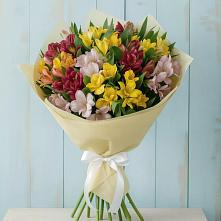Букет цветов из:  Альстромерии в Лоухи