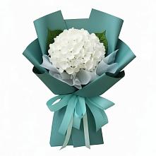 Букет цветов из:  Гортензия в Лоухи